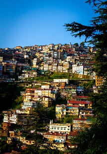 Lakkar Bazaar 